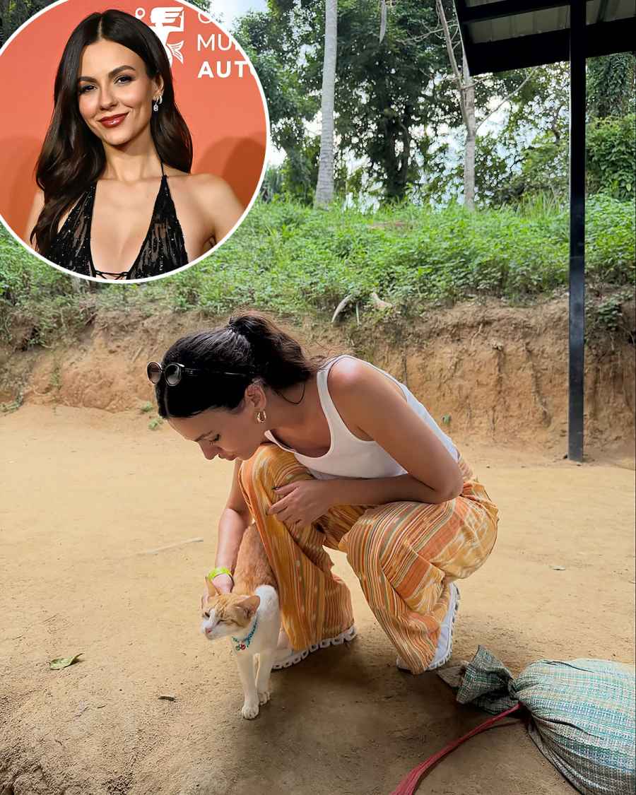 Victoria Justice They Simply Must Pet the Cat Just Like Us