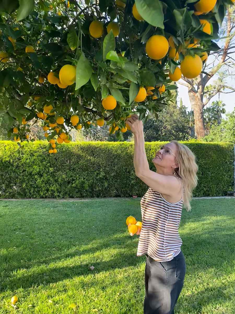 Jennie Garth They Pick Fresh Fruit Just Like Us
