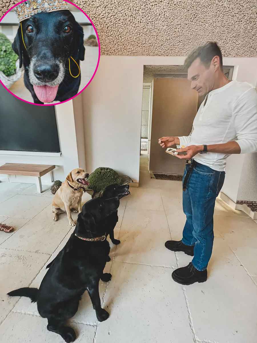 Ryan Seacrest They Throw Birthday Parties for Their Pets Just Like Us