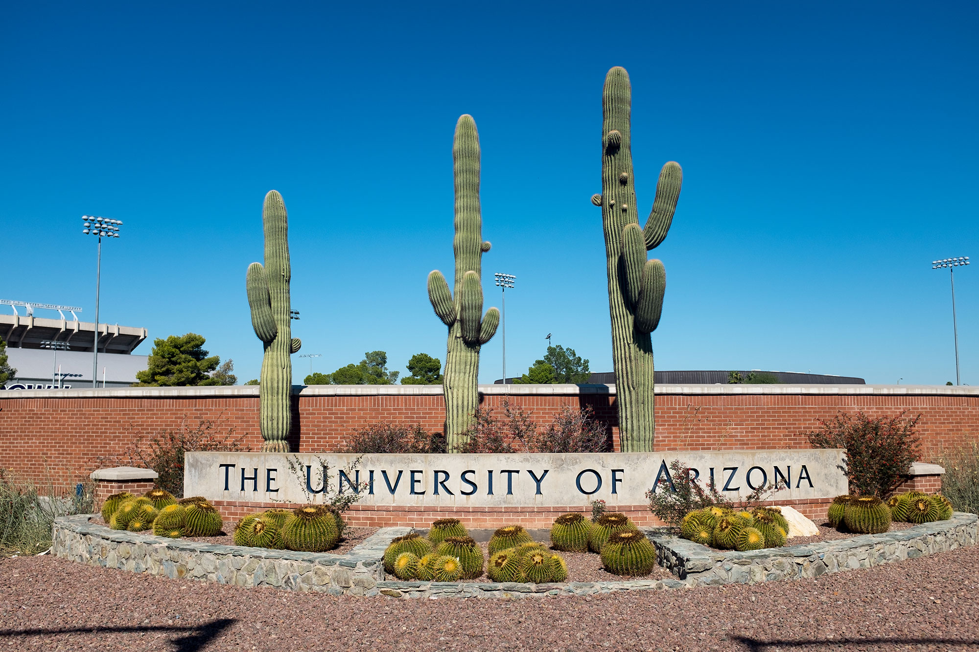 University Of Arizona